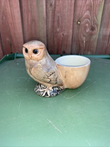 Quail owl egg cup - egg,