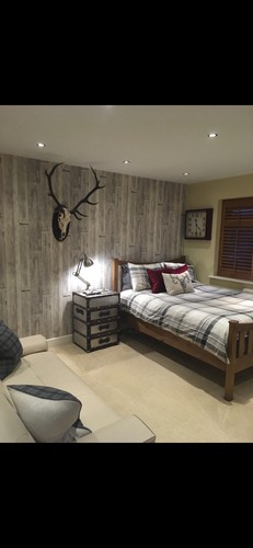 Deer skull with antlers wall - skull,