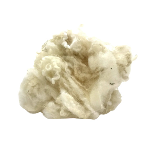 Natural white curly wool - curly, locks