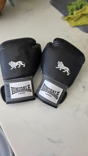 Lonsdale freestanding punch - lonsdale,