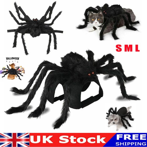 Halloween pet bat spider - uk,