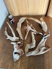 Driftwood  x7 best unusual shapes. of bogwood for florist , vivarium or Display