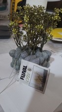 Fluval Chi Artificial Plant