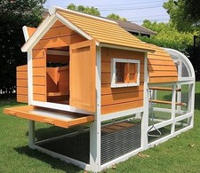 Large arch chicken house - chicken,