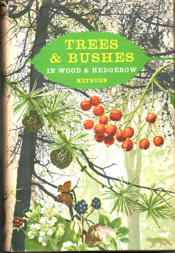 Trees and bushes - bushes,