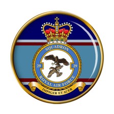 29 Squadron, RAF Pin Badge
