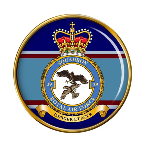 Squadron raf pin badge - 29,