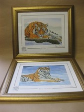 Stephen Gayford ~ 2 Ltd Ed. Framed Prints ~ Tigers ~ Cat Nap & Winter Sunbather