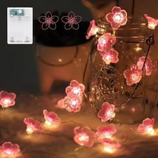 Flower Fairy String Lights,2M