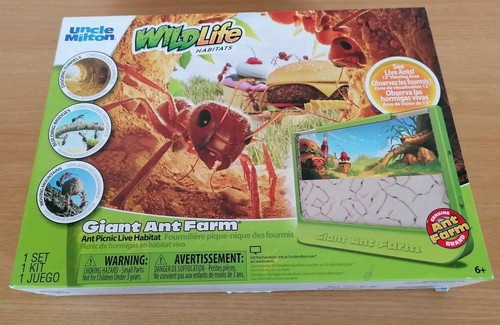 Giant ant farm with large - giant,
