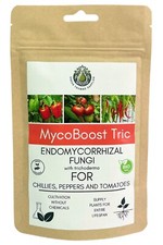Chilli Pepper & Tomatoes