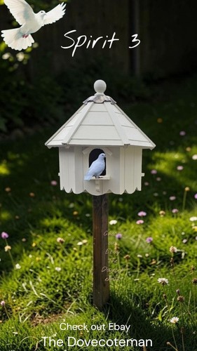 Garden dovecote for doves - garden,