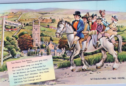 England postcard widecombe - england,