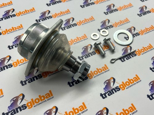 Rear suspension frame - suspension, a