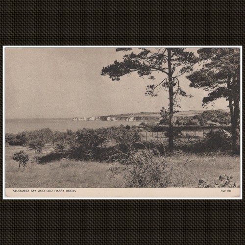 Studland bay and old harry - bay,