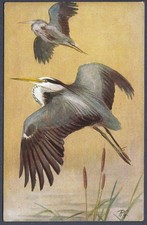 Herons by Roland Green - R.S. Art Press bird postcard