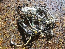 Vauxhall VXR8 Holden HSV Commodore VE Pontiac G8 Loom  -- Interior