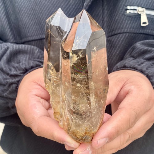 481g natural citrine backbone - natural,