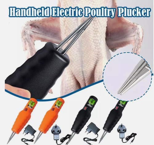 2024 electric poultry - poultry, feather