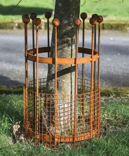 Rustic garden tree guard - tree,