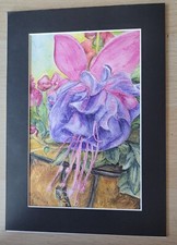 ORIGINAL Watercolour and inktense pencils  - Fuchsia in Basket- A4 mount