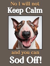 English bull terrier - bull, funny