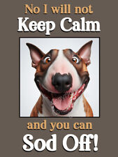 English Bull Terrier Dog Funny