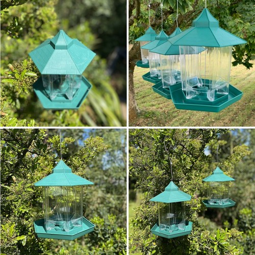 Green bird seed nut - bird, feeders