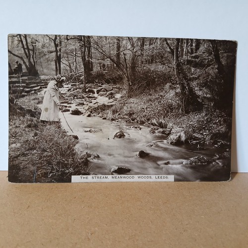 The stream meanwood woods - the,