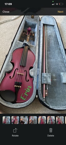 Stentor harlequin size - harlequin, 1/2