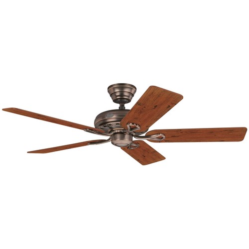 Ceiling fan with - , chain