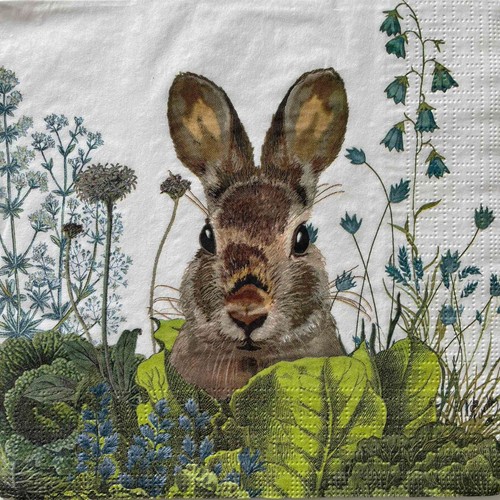 Luncheon paper napkins - x,