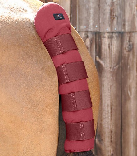 Premier equine stay horse - equine,