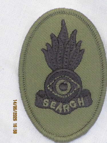 Royal engineers search team - royal,