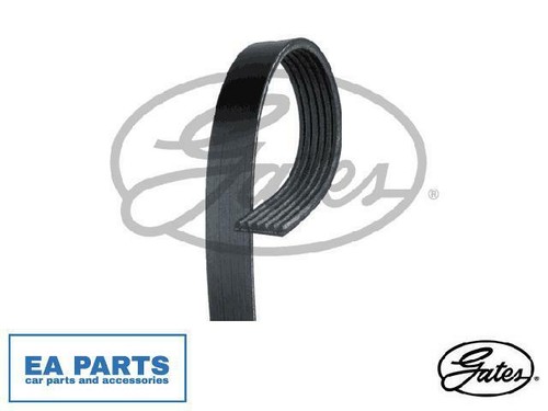 Ribbed belts for - for, ford