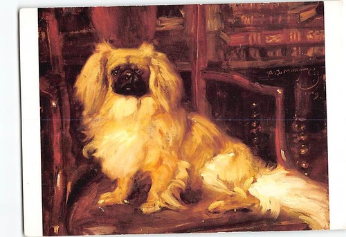 Postcard pekingese painting - postcard,