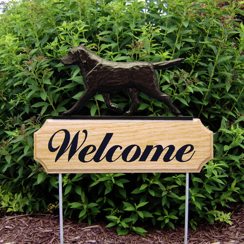 Labrador retriever dig - retriever, welcome