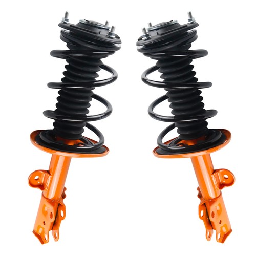 Front shock complete strut - shock,