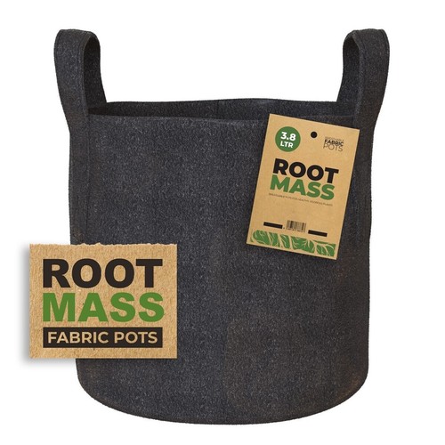 Black root mass - root, pot