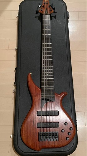 Tune string electric - 6, bass