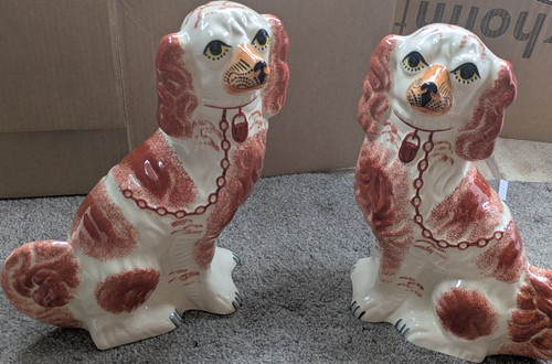 Chiltern staffordshire spaniel - staffordshire,