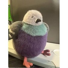 Leicester Pigeon - Selfridges