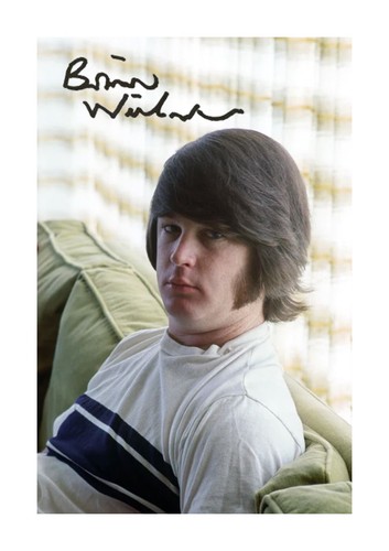Brian wilson the - beach, 2