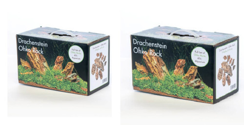 Deco set dragon - dragon, ohko