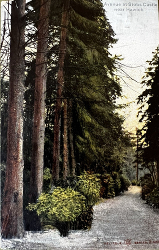 1905 avenue stobs castle - avenue,