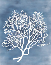 White Coral Sea Fan Poster - Coastal Ocean Wall Art - 12X16/16X20/18X24/24X36