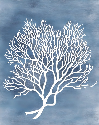 White coral sea - sea, poster