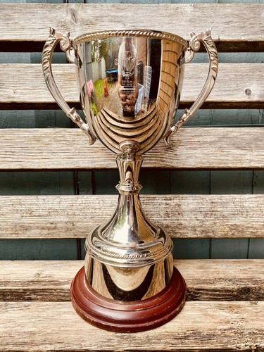 Silver trophy - 🏆,