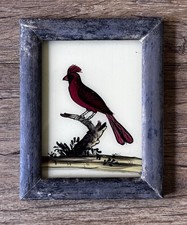 Indian Cardinal Bird Reverse