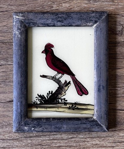 Indian cardinal bird reverse - indian,